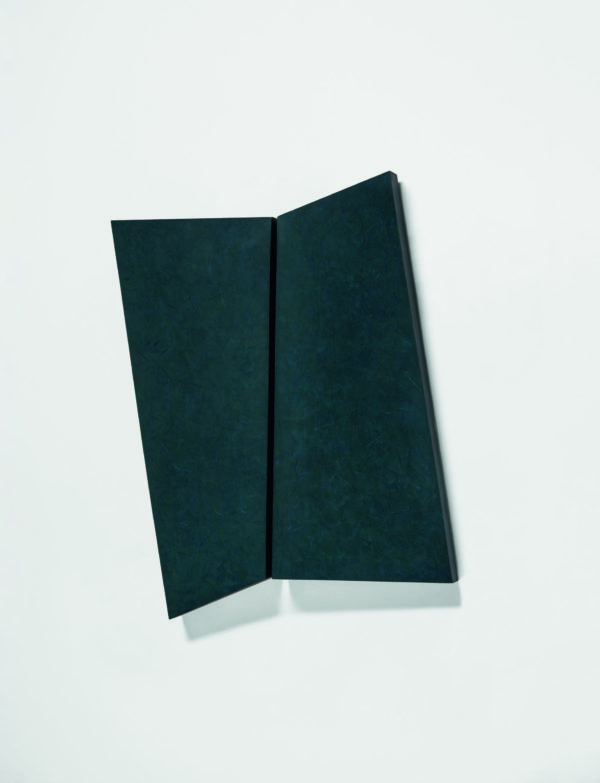 0301 pointed green 2003 70x50x10cm_mounted